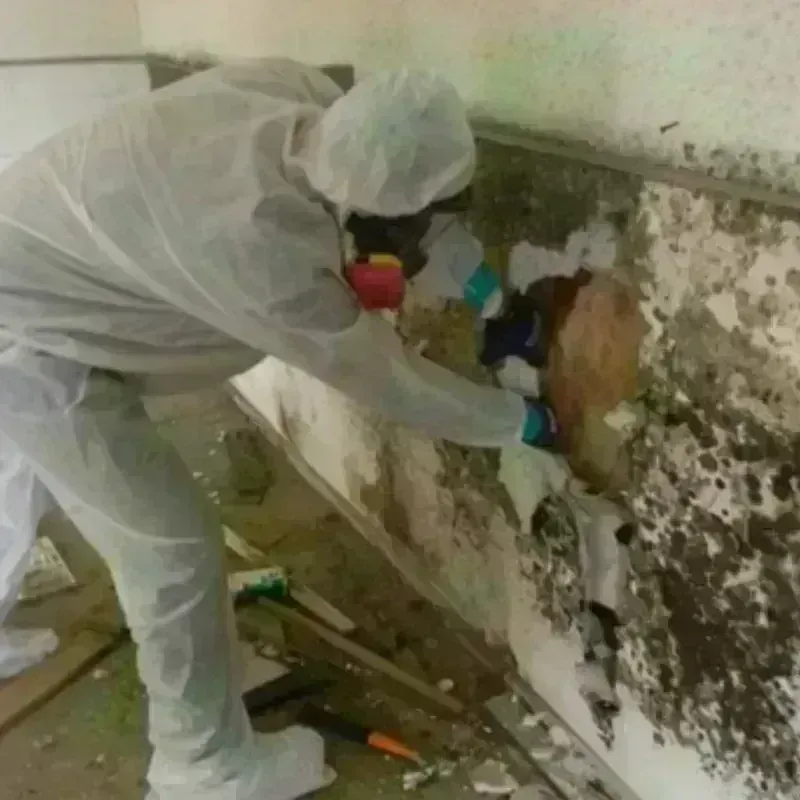 Mold Remediation and Removal in Franklin County, MA