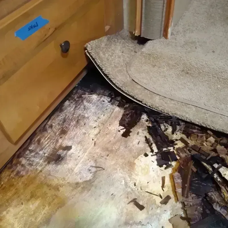 Best Wood Floor Water Damage Service in Franklin County, MA